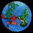 Hummingbird 15